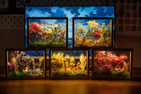 DIY Dried Flower Shadow Box Kit: LED Light, Handmade Floral Craft