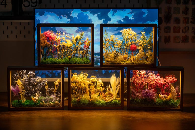 May include: Five illuminated shadow boxes with dried flowers. Each box has a dark wooden frame and a glass front, displaying colourful floral arrangements. The background features a blue sky scene.