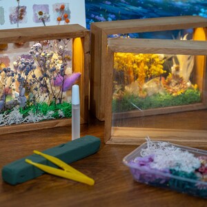 May include: Wooden framed shadow boxes with dried flowers and LED lights. The boxes contain various colourful dried flowers, moss, and other decorative elements. A small container of flowers, tweezers, and glue are in the foreground.
