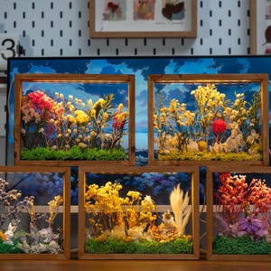 May include: Five wooden framed floral arrangements. Each frame contains dried flowers and greenery, with a backdrop of a blue sky. The arrangements feature a variety of colours, including red, yellow, and purple, and are displayed on a wooden surface.