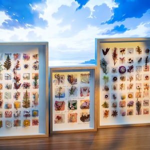 Gepresste Blume Kunst in Massivholzrahmen: Botanische Wanddekoration