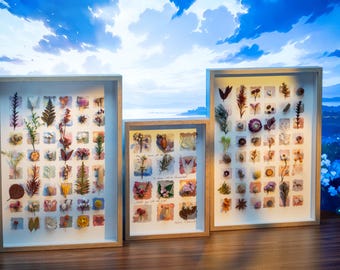 Pressed Flower Art in Solid Wood Frame: Botanical Wall Decor