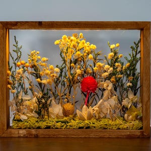 May include: A wooden framed display case filled with dried flowers. The arrangement includes yellow, white, and green foliage, with a vibrant red flower in the centre. The frame is made of light brown wood.