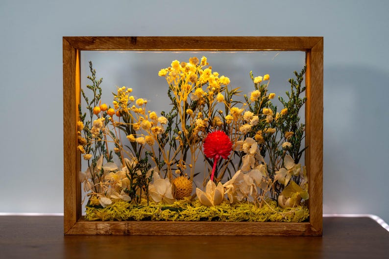 May include: A wooden framed display case filled with dried flowers. The arrangement includes yellow, white, and green foliage, with a vibrant red flower in the centre. The frame is made of light brown wood.