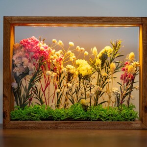 May include: A wooden framed display of dried flowers. The arrangement includes pink, yellow, and white blooms, set above green moss. The frame is rectangular and made of light-toned wood. The display is illuminated from above.