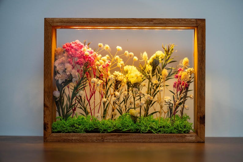 May include: A wooden framed display of dried flowers. The arrangement includes pink, yellow, and white blooms, set above green moss. The frame is rectangular and made of light-toned wood. The display is illuminated from above.