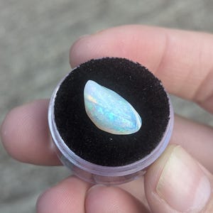 Op de afbeelding: Een gepolijste opaal edelsteen, met iriserende kleuren van blauw, groen en wit. De opaal is ovaal van vorm en geplaatst in een kleine, doorzichtige plastic container met een zwart fluwelen interieur. De edelsteen wordt in een hand gehouden.