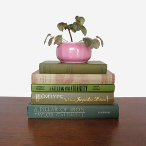 May include: A stack of vintage paperback books with green and brown covers. The top book is titled "A Killing for Charity" by Arthur Kaplan. A pink ceramic planter with a small green plant sits on top of the books.