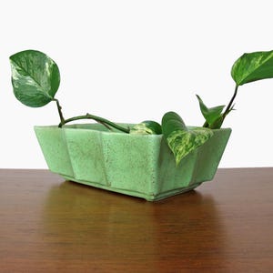 May include: A rectangular, light green planter with a geometric design, holding several green and white variegated pothos plants. The planter sits on a wooden surface, creating a natural, minimalist aesthetic.