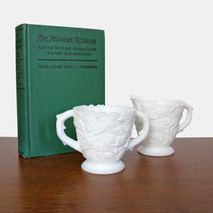 Könnte beinhalten: Zwei weiße, strukturierte Keramik-Sahnekännchen mit Griffen stehen auf einer Holzoberfläche neben einem grünen Buch mit dem Titel "The Modern Nursery: A Guide to Plant Propagation Culture and Handling" von Alex Laurie und L.C. Chadwick.