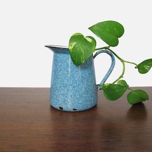 May include: A blue enamel pitcher with a speckled finish, filled with a green leafy plant. The pitcher has a black rim and handle.