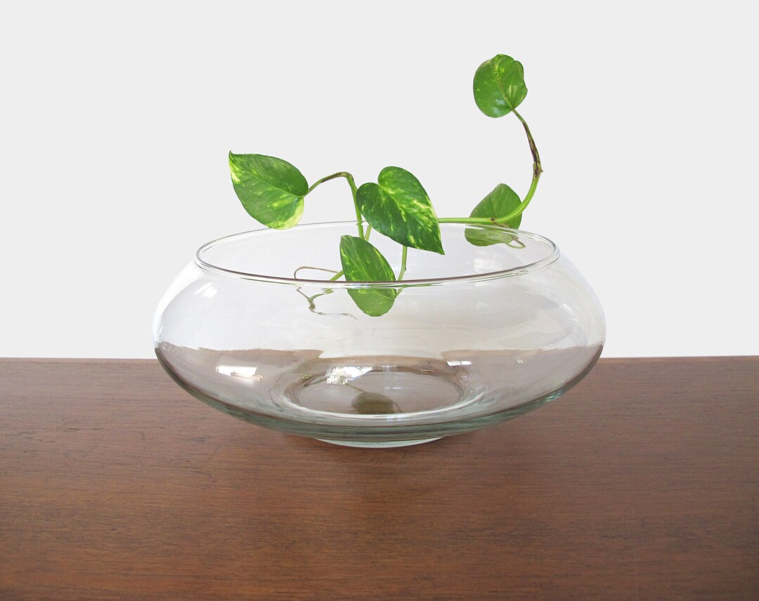 Large Glass Terrarium Bowl or Planter Etsy
