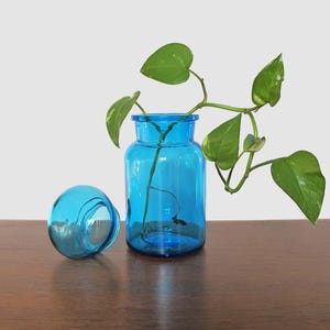 Blue Apothecary Storage Jar with Bubble Lid