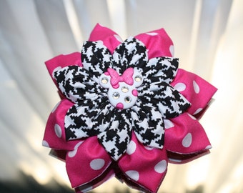 Stars in my eye's Minnie