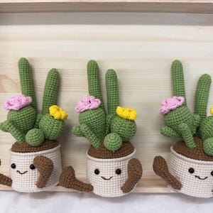 May include: Three handmade crochet cactus plants in white pots with smiling faces and brown arms and legs. The cacti are green with pink and yellow flower accents. The plants are displayed in a wooden tray.