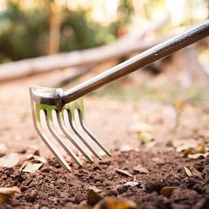 May include: A close-up of a silver garden rake with a wooden handle, resting on brown soil with fallen leaves. The rake is used for gardening and yard work.