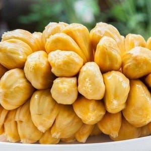 May include: A close-up of a portion of fresh jackfruit, a tropical fruit. The fruit is a bright yellow color and has a bumpy texture. It is arranged on a white plate, with a blurred green background.