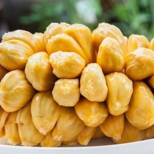 May include: A close-up of a portion of fresh jackfruit, a tropical fruit. The fruit is a bright yellow color and has a bumpy texture. It is arranged on a white plate, with a blurred green background.
