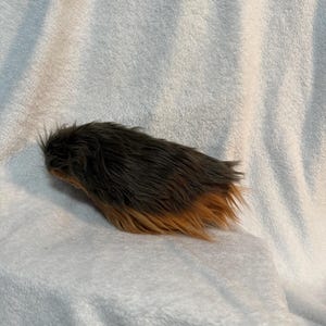 Light Brown and Brown Nub Tail