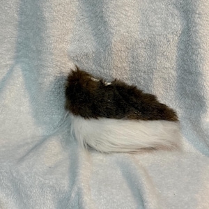 White and Brown Deer Tail