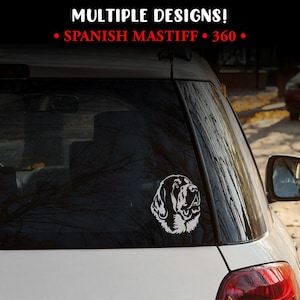 Puede incluir: Una calcoman&iacute;a de vinilo blanco con la cabeza de un perro Mast&iacute;n Espa&ntilde;ol est&aacute; adherida a la ventana de un coche. La imagen es un dibujo lineal detallado. El texto en la parte superior dice "MULTIPLE DESIGNS!" y "SPANISH MASTIFF &bull; 360 &bull;" en rojo.