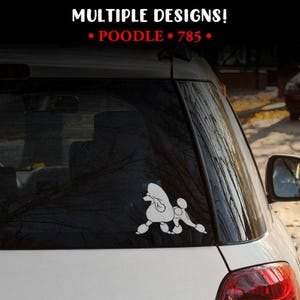 May include: A white vinyl decal of a poodle dog in a standing position applied to the rear window of a white vehicle. The text MULTIPLE DESIGNS! POODLE 785 is displayed in white and red at the top of the image against a dark background.