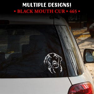 May include: A white vinyl decal of a Black Mouth Cur dog's head is affixed to the rear window of a white car. The text "MULTIPLE DESIGNS!" and "BLACK MOUTH CUR • 465 •" are displayed at the top of the image.