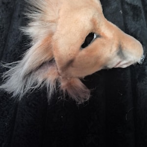 May include: A light brown, plush dog mask with a pointed snout and large eye openings. The mask has fluffy, light-colored fur around the ears and a darker shade on the nose. The mask is designed to be worn on the face.