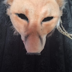 May include: A handmade mask in the shape of a lion's head. The mask is primarily tan with darker shading around the nose and eyes. It has a faux fur mane and feather accents.