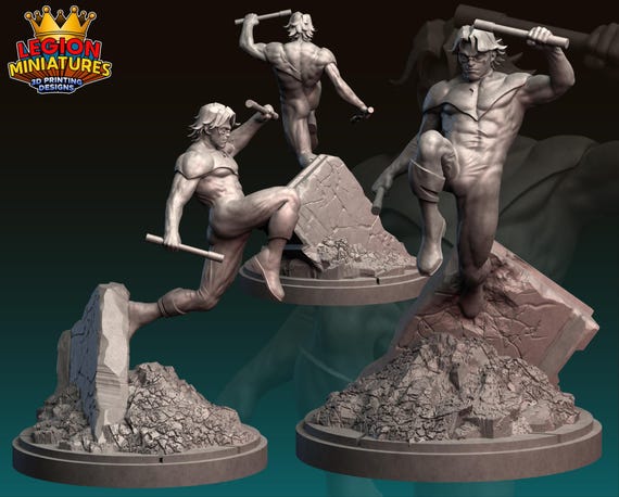 Nightwing DC, Hero, RPG Resin Model Kit, 3D Printed, Highly detailed, By C27 miniatures Sculpts, Authorised Seller, 40mm-75mm