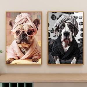May include: Two dogs wearing bathrobes and towels on their heads. The dog on the left is a French Bulldog wearing pink sunglasses. The dog on the right is a Great Dane.