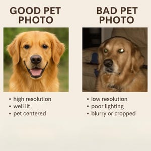 Pu&ograve; includere: Immagine che confronta una buona e una cattiva foto di animali domestici. La foto buona mostra un golden retriever ben illuminato, ad alta risoluzione e centrato sull'animale. La foto cattiva &egrave; a bassa risoluzione, scarsamente illuminata e sfocata.