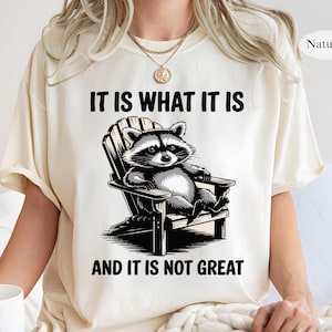 It Is What It Is And It Is Not Great Shirt, Funny Raccoon Shirt, Meme Shirt, Retro Meme Shirt, Funny Saying T-shirt