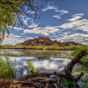 Nature&#39;s Mirror:  Salt River