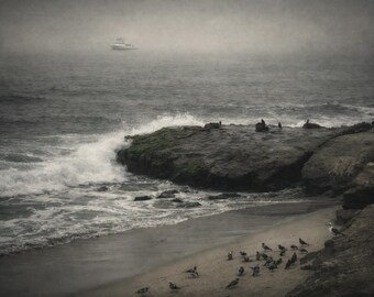 Whispers of the Fogged Tide