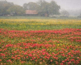 Wildflower Landscape Photography – Misty Meadow Wall Art – Rustic Country Decor Print