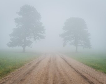 Ethereal Road, Silent Trees