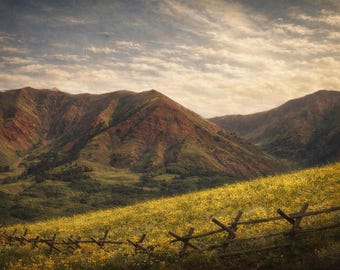 Colorado Mountain Wall Art – Wildflower Landscape Photography – Rustic Nature Decor Print