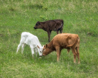 Tender Moments in Green