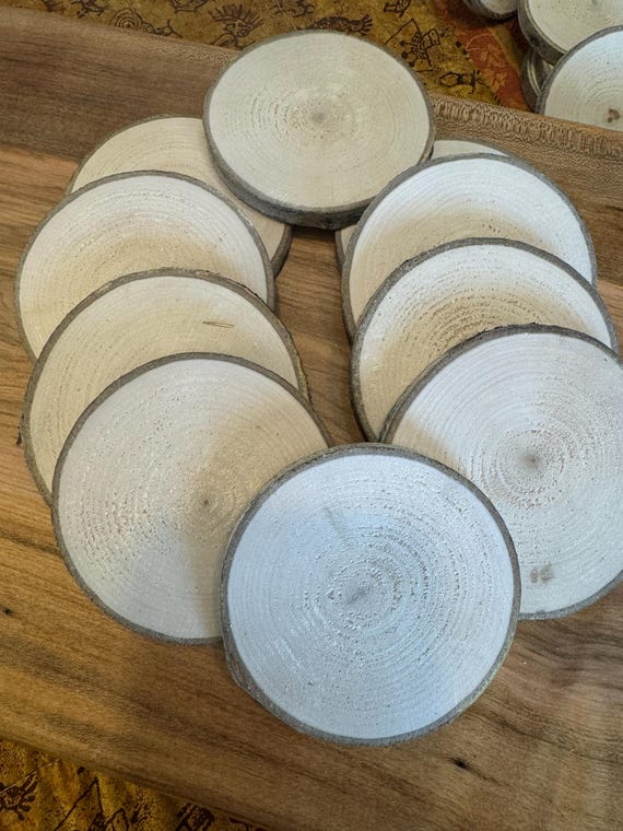 10 Aspen wood slices 3.5"-4"  diy craft supply