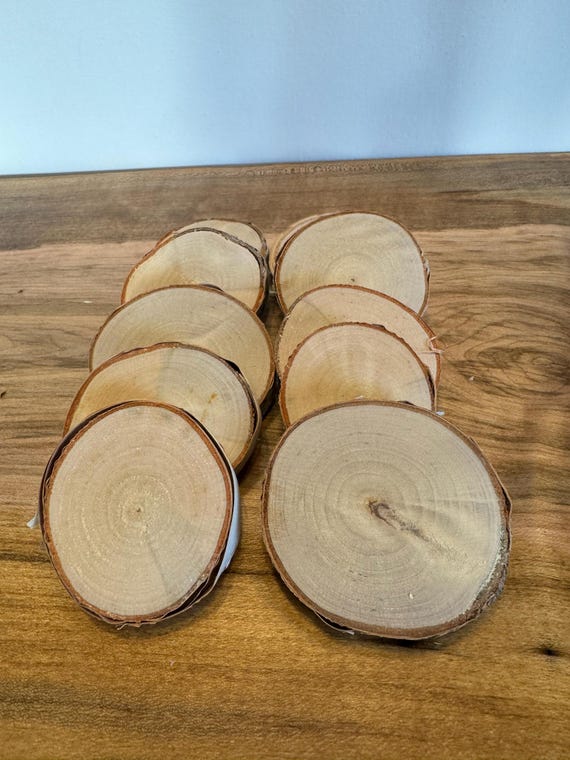 10 White Birch slices  3.5"-4.5" kiln dried  diy crafting