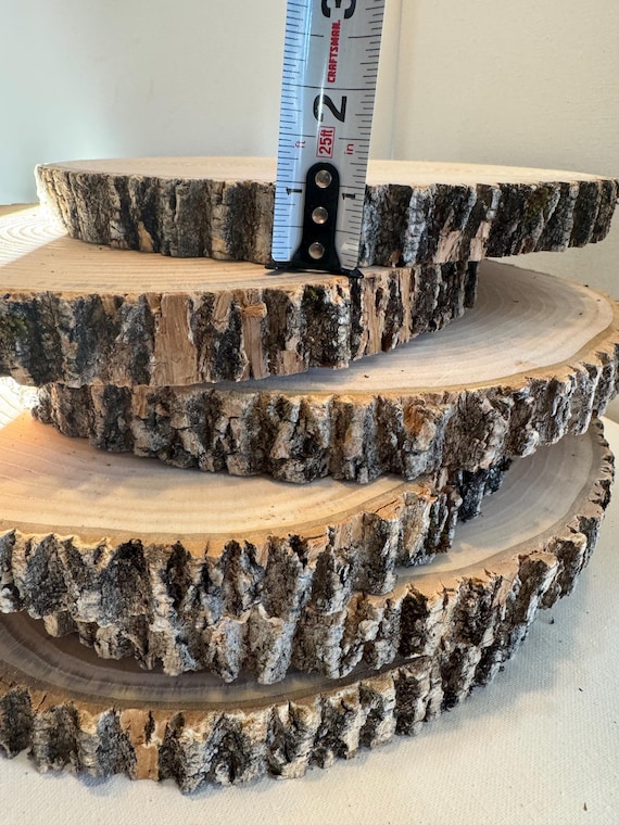 10"-12" Ash or White Birch wood slice rustic decor center piece craft supply