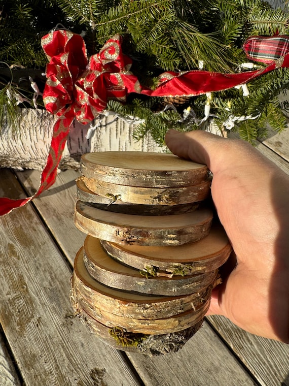 10 3.5"-4" Yellow Birch slices craft supply diy rustic decor wedding decor