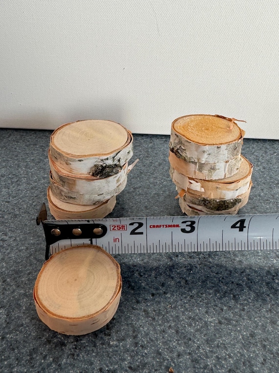 50 White Birch  or Maple or Aspen slices 1.5"-2" bulk wood discs craft supply diy