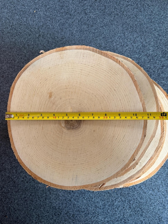 Large White birch slices 10"-12" perfect for rustic wedding decor and DIY crafts starting at 8 dollars plus shipping