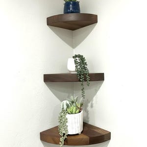 May include: Three wooden corner shelves, each holding a different potted plant. The top shelf has a blue ceramic pot with a green plant. The middle shelf has a white pot with a trailing plant. The bottom shelf has a white textured pot with succulents.