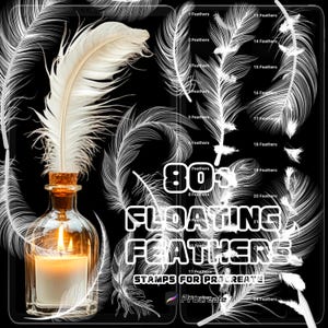 Procreate Feather Brushes | 81 Realistic Stamps for Bird Illustration & Art Design | Digital Download