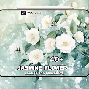Jasmine Flower Brush | Elegant Floral Stamp Brush | Botanical Art for Digital Painting | Instant Download