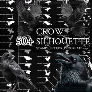 May include: A black and white digital art set featuring over 50 crow silhouettes and illustrations. The word "CROW" is displayed in large letters, with the text "50+ SILHOUETTE STAMPS SET FOR PROCREATE" below. Various crow images are shown.