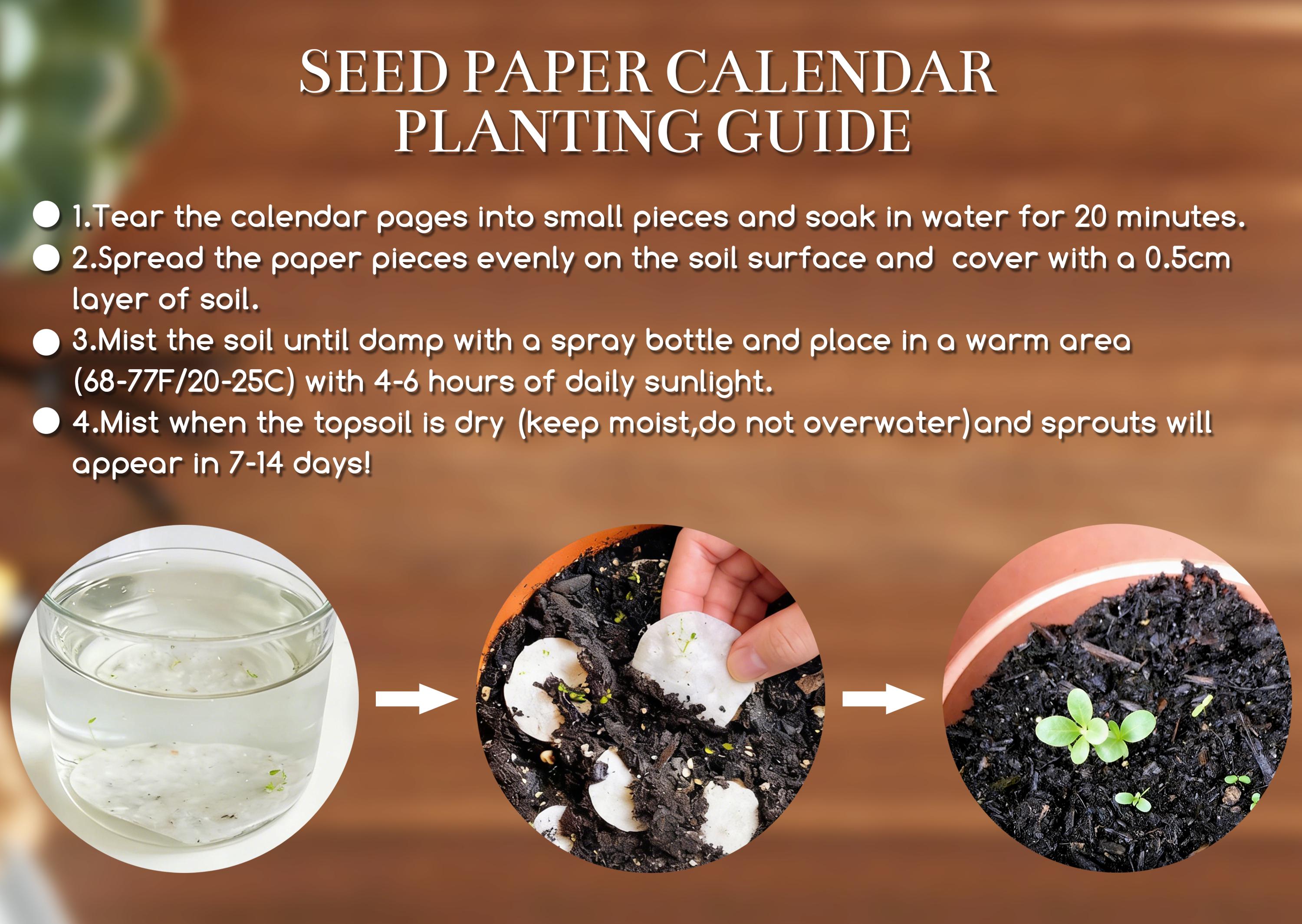 2026 Plantable Seed Paper Calendar • Custom Eco-friendly Gift ...